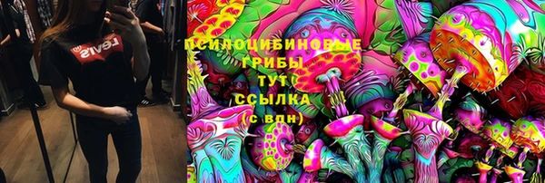 шишки Алексеевка
