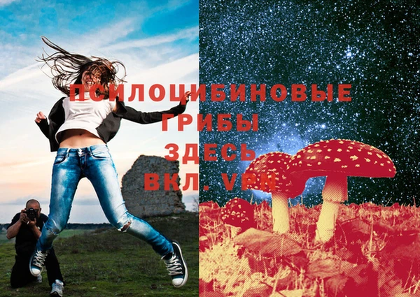 спиды Елизово
