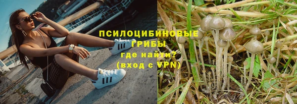 не бодяженный Абаза