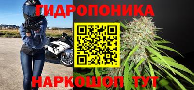 гидра Тулун